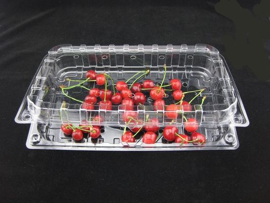 Freundliche klare Plastikblasen-Kunststoffgehäuse-Wegwerfkästen 500g Eco