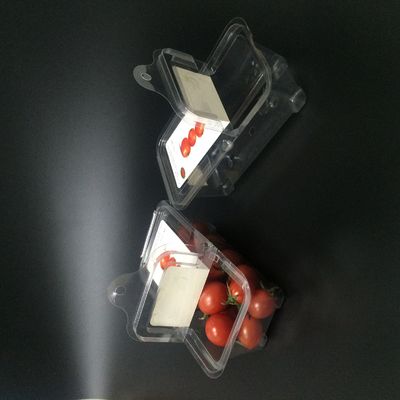 Maschinenhälften-Kunststoffgehäuse-Kasten-Schlagzähigkeit der Blaubeeren125g