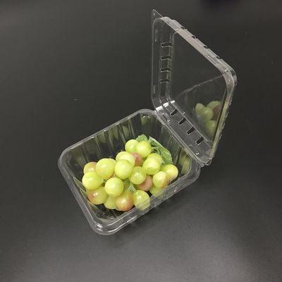 Maschinenhälften-Kunststoffgehäuse-Kasten-Schlagzähigkeit der Blaubeeren125g