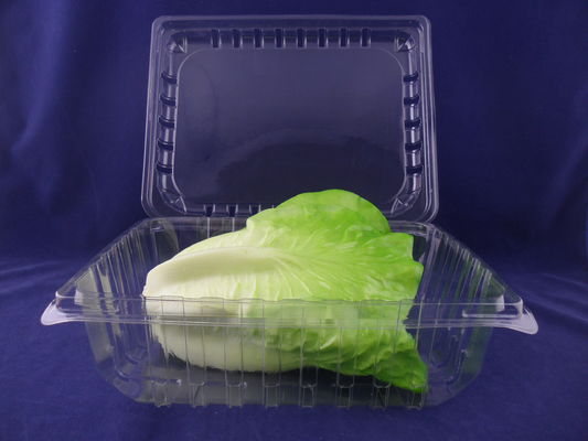 Nahrung ordnen die Wegwerf Kunststoffgehäuse-Kasten-Lösung