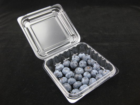 Maschinenhälften-Kunststoffgehäuse-Kasten-Schlagzähigkeit der Blaubeeren125g