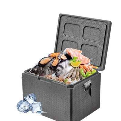 Anpassungsfähige EPP-Box mit einer Größe von 35-81L Ideal für elektronische Produkte